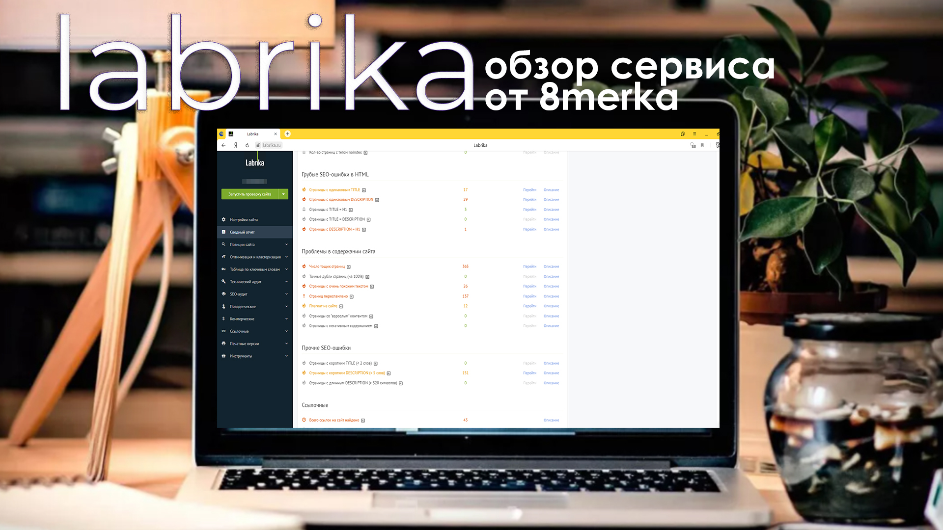 Сколько в seo. Labrika. SEO Review.